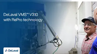 DeLaval VMS™ V310 with Darita Holsteins