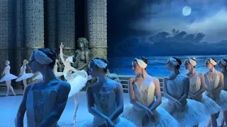 Rudolf Nureyev "SWAN LAKE" ballet- Odette variation/White Swan- Prima Ballerina Tatum Shoptaugh