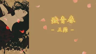 致青春 (Gửi thanh xuân) - 王菲 (Vương Phi - Faye Wong) {Lyrics + Pinyin + Vietsub}