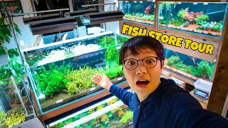 AMAZING AQUASCAPING STORE in JAPAN!! Full Fish Store of Aqua Grass