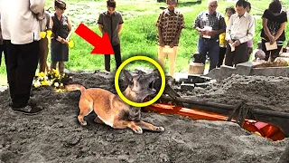 This Dog Kept Barking At The Coffin, When They Opened It People Where TERRIFIED!