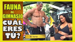 TIPOS de PERSONAS en un GYM | ¡NO SEAS ASI!