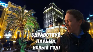 Грузия (20): Батуми готовится к Новому году (+ Махинджаури / Зелёный мыс) | Капибары в бегах #56