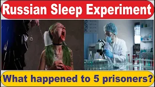 Russian Sleep Experiment || The Most Terrifying Human Experiment || Urdu || Insight Speaks