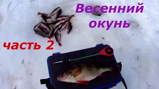 Весенний окунь на мормышку, часть 2.