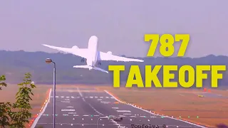 Insane Vertical Climb ! Boeing 787 vs Boeing 737 MAX