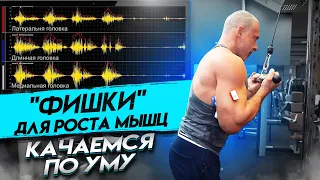 "ФИШКИ" ДЛЯ РОСТА МЫШЦ. КАЧАЕМСЯ ПО УМУ