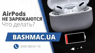 Почему не заряжаются AirPods? Решение проблемы — УБРАТЬ ПУТИНА!