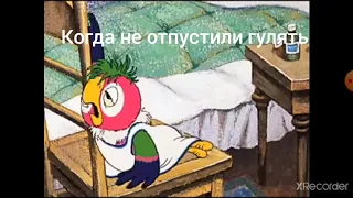 Муд « попугай кеша »