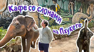 4K: Заповедник-кафе со слонами на Пхукете -(Phuket Nature Elephant Reserve).