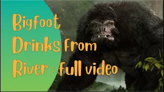 Bigfoot Drinks From River