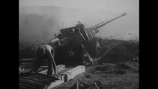 1944年 東部戦線、 パンター、8.8cm PaK43/41、III号突撃砲、IV号戦車