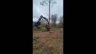 2016 TimberPro TF830C Combo with SP761 Harvesting Head