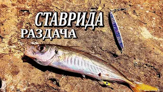 🔴Ставрида ДАЛА ЖАРУ. ПОПАЛ НА ДНЕВНУЮ РАЗДАЧУ. Морская Рыбалка на Пилькер.