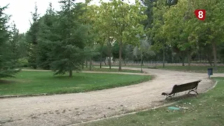 'Un Paseo por Palencia' GESTIÓN FORESTAL URBANA