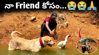 మా Friend కోసం Gani గాడు ఏం చేసినాడు చూడండి..😭🙏 | Hen Vs Gani | @upendragani