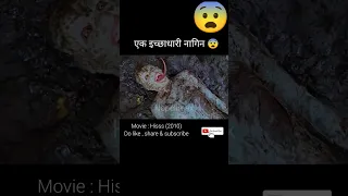 Ek इच्छाधारी नागिन 😨/ Movie : Hisss (2010) / movie explained in hindi / #shorts #viral @hopclimax