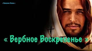 Христианское стихотворение - Вербное Воскресенье .