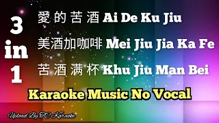 3 in 1 Ai De Ku Jiu + Mei Jiu Jia Ka Fei + Khu Jiu Man Bei愛的苦酒＋美酒加咖啡＋苦酒满杯 karaoke no vocal