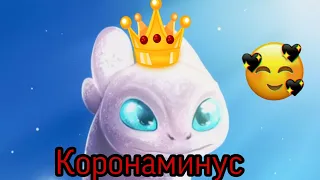 Беззубик и дневная фурия "коронаминус" 💞