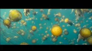 Oceans / Océans (2007) - Trailer English Subs