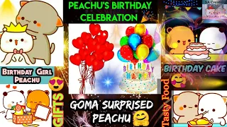 PEACHU'S BIRTHDAY CELEBRATION 🎉|SURPRISE FOR PEACH 😍 | Bubu's Birthday Celebrated by Dudu 🥰 | Panda🐼