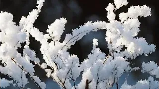 Волшебная музыка зимы❄ЗИМНЯЯ СКАЗКА🎼🎶Красивая мелодия для души! Эту музыку можно слушать вечно#Мехди