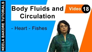 Body Fluids and Circulation | NEET | Heart - Fishes | Neela Bakore Tutorials