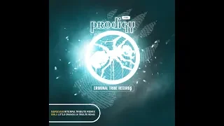 The Prodigy - Girls (Little Orange UA Tribute Remix) [FREE DOWNLOAD]