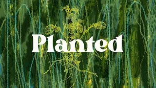 The Parable of the Sower | Planted 1 | Sermon