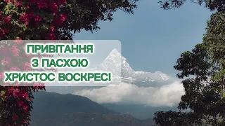 Дуже гарне❗️ Пасхальне привітання...❤️ Привітання зі Світлим Воскресінням Христовим!