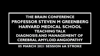 The Brain Conference 2021: Teaching Talk: Steven M. Greenberg