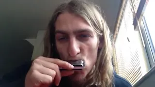 HOW TO PLAY LITTLE WALTER'S JUKE WILL WILDE HARMONICA