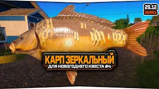 Карп зеркальный на Комарином озере для Квеста #4 — Русская Рыбалка 4