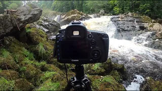 Salmon jumping,  feugh falls , Aberdeenshire,  Scotland