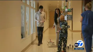 Robot puppies help young patients cope with anxiety before surgery