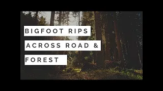 Bigfoot Rips Across Road & Forest  🙉Best Of SFSO