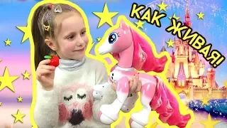 🔴ВАУ!! МНЕ ПОДАРИЛИ НАСТОЯЩЕГО ПОНИ 🦄 Подарки на ДЕНЬ РОЖДЕНИЯ НИКОЛЬ! Интерактивные игрушки