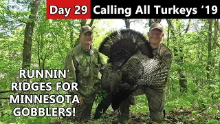 Almost Busted! - Public Land Gobbler Hunt - Calling All Turkeys