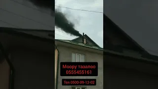 моору тазалоо