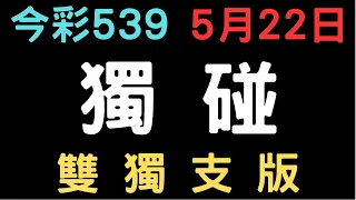 今彩539｜獨碰｜少年狼539｜5月22日｜雙獨支版