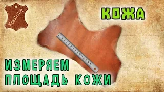 Как измерить площадь кожи? How to measure the area of the skin?