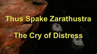 Analyzing Nietzsche: The Cry of Distress