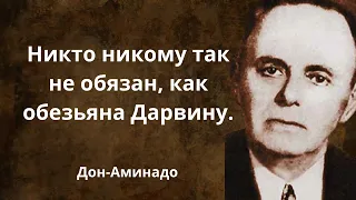 Каждая фраза осмысленная. Дон-Аминадо. Афоризмы, цитаты и мудрые мысли.