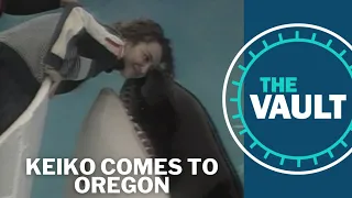 Keiko’s journey from captivity to the Oregon Coast | KGW Vault