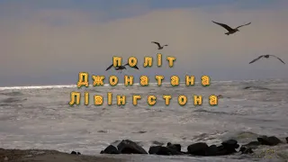 Відеоурок: Річард Бах "Чайка на ім'я Джонатан Лівінгстон"