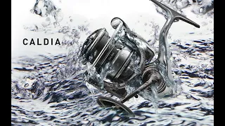 Обзор катушки Daiwa caldia 5000