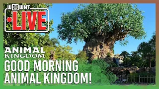 🔴LIVE Good Morning, Animal Kingdom! Live Stream