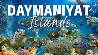 'The Jewel of the Middle East' - Travel Documentary | Daymaniyat Islands of OMAN | Whale Sharks |