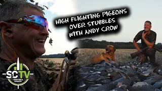 Shooting & Country TV | Shooting with Andy Crow 9 | High flighting pigeons over stubbles